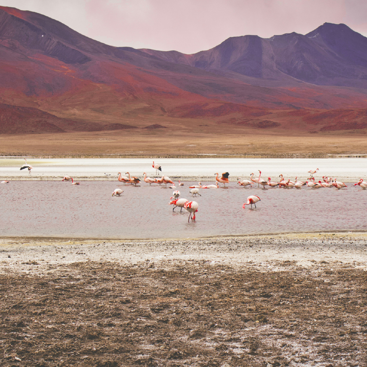 SALAR DE UYUNI 4 SALAR DE UYUNI 4