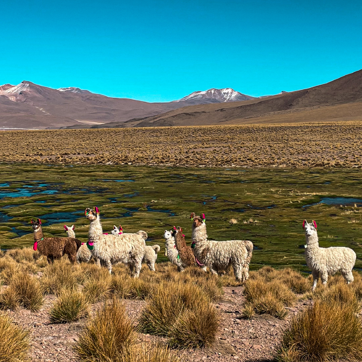 SALAR DE UYUNI 5 SALAR DE UYUNI 5